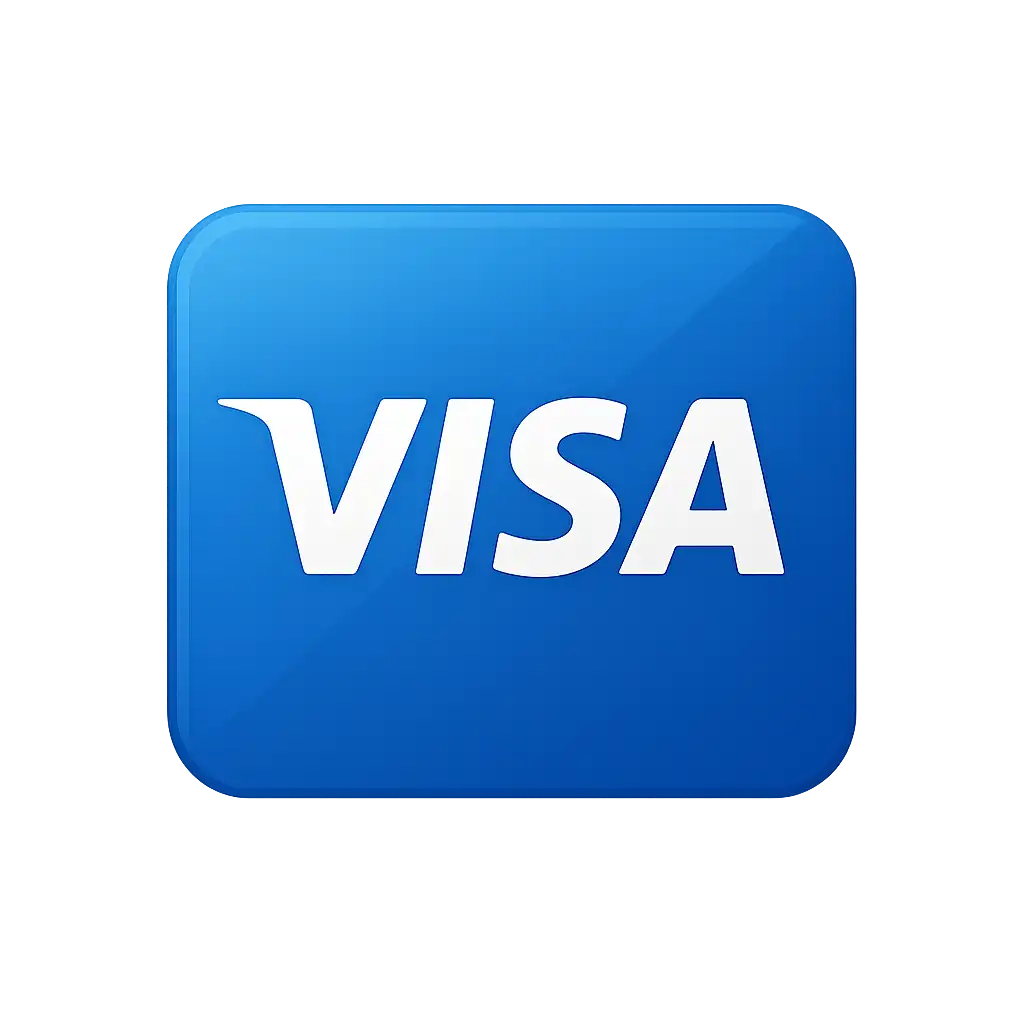 Visa card icon